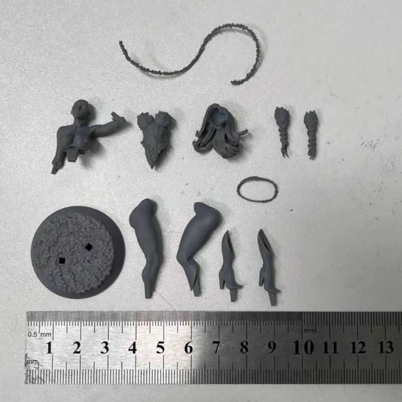 1/24 Scale Forest Queen Scienc - đánh giá và giá Science Hobby Kit