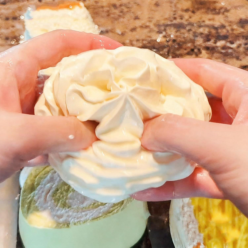 Cream Roll Slow Rebound Squish - đánh giá và giá Crystal Growing Kit